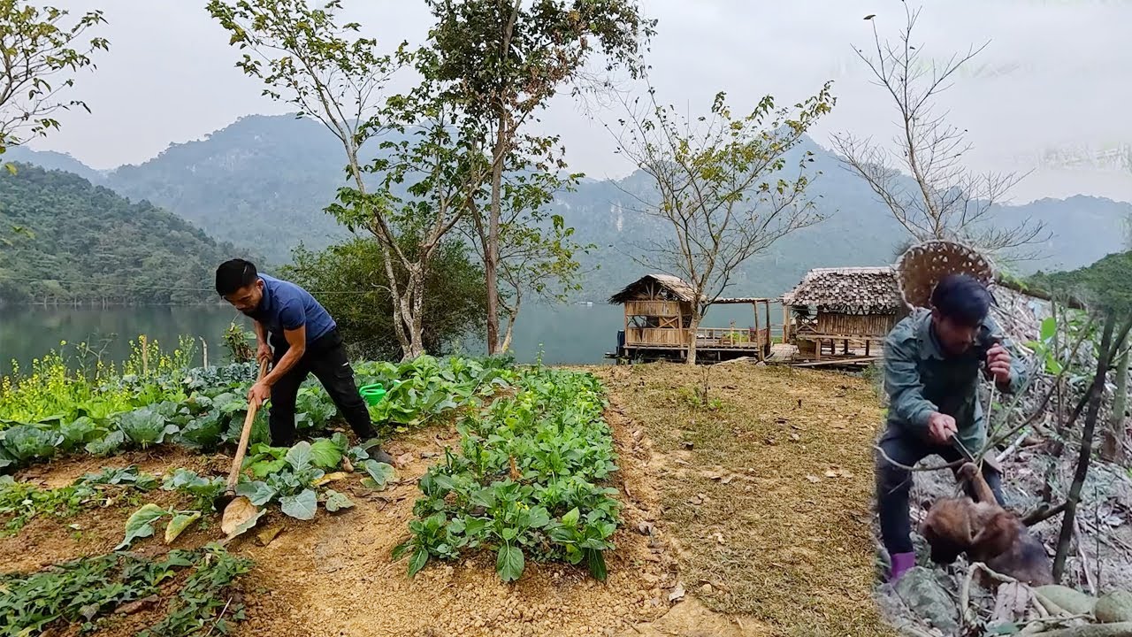 Rescuing a dog trapped in the forest. Digging bamboo shoots to exchange for ducks.