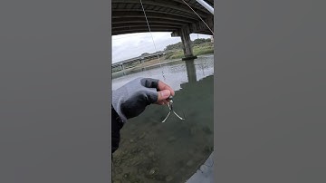 CATCHiNG MULLET FiSH USiNG TREBLE HOOK🇹🇼👌💯