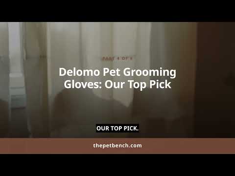 Watch: The Top 3 Pet Grooming Gloves for Dogs with Thick Coats: Expert Tested