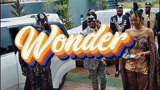 Смотреть клип Diamond Platnumz - Wonder