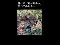憧れの「あ～ああ～」をしてみたら・・・