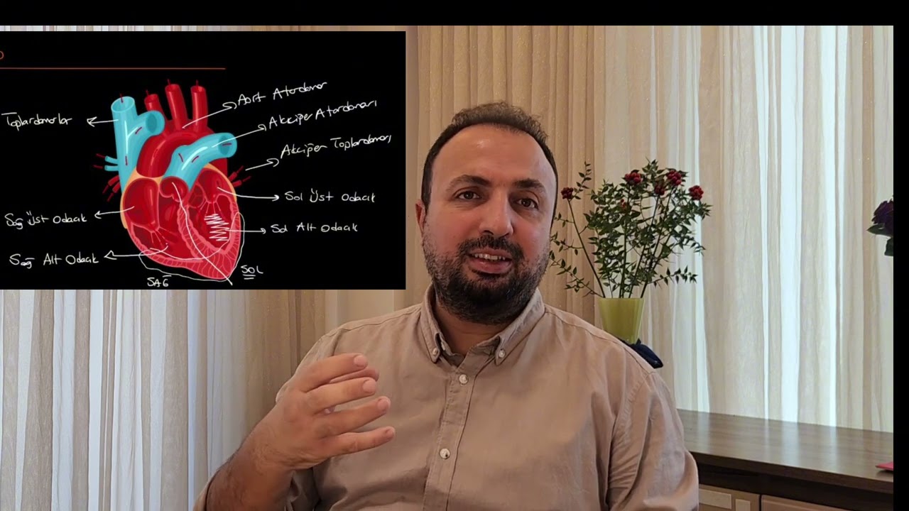 Pulmoner emboli (akciğere pıhtı atması)