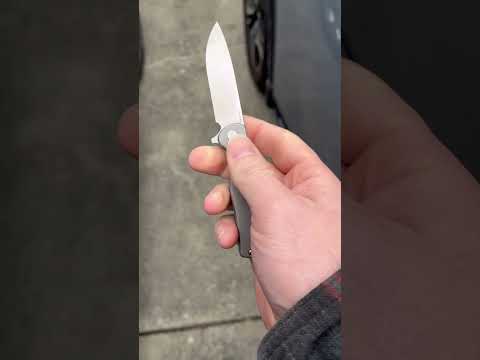 Dad joke and knives 100 Vosteed Mini Labrador      