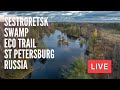Sestroretsk Swamp Ecological Trail. Sestroretsk. St Petersburg, Russia. LIVE