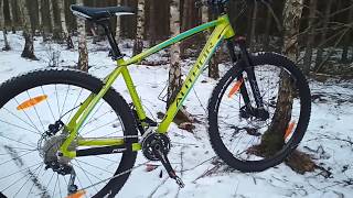 AUTHOR TRACTION 29 MTB - 2017r.