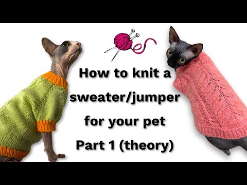 Video: How To Knit A Sweater For A Cat