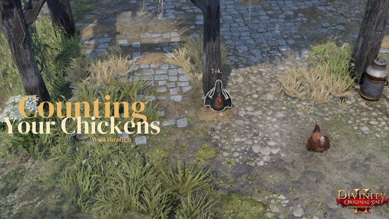 Counting Your Chickens Divinity Original Sin 2 Walkthrough YouTube