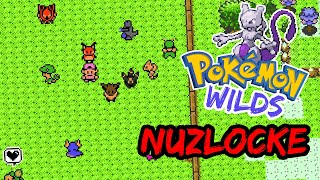 Can I Nuzlocke an Open World Pokemon Game? Pokemon Wilds Gameplay