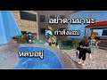 Roblox : NGH ตกอยู่หลังกำแพงหาไม่เจอหรอก MM2￼