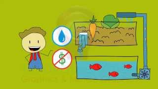 Top-Notch 2D Animation & Explainer Video