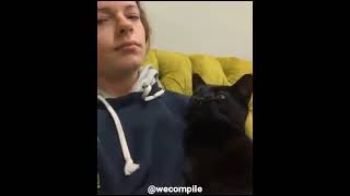 Funny Animals Short Video Eğlenceli Kısa Hayvan Videosu