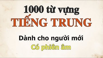 1000 Từ Vựng Tiếng Trung Cơ Bản Nhất – Dành cho người mới, có phiên âm tiếng Việt