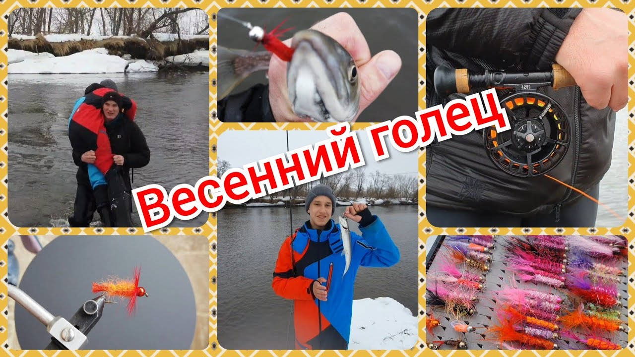 Авачинский голец 2020