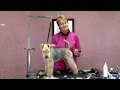 Modified Pet Trim on a Lakeland Terrier - Cheryl Purcell NCMG の動画、YouTube動画。