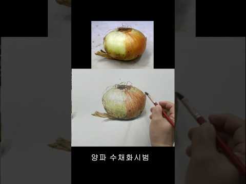 기초수채화 양파시범 #watercolor #수채화 #양파수채화