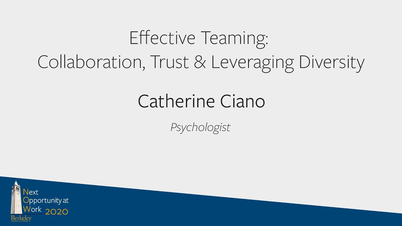 Effective Teaming - Collaboration, Trust & Leveraging Diversity