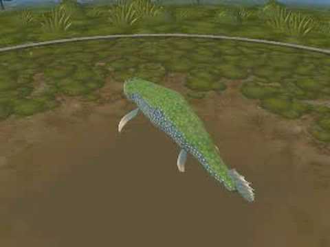 Tiktaalik - YouTube