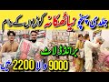 Hurry up!! | Branded Dresses Wholesale shop | H.Z - Khaadi - Al Zohaib Opening Sale