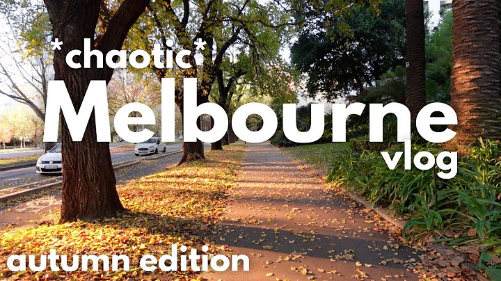 I ran away to Melbourne to forget my problems
