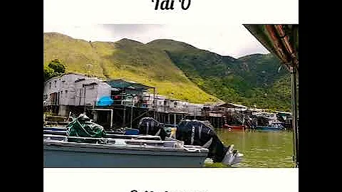 Boat tour @Tai O #Stilt Houses