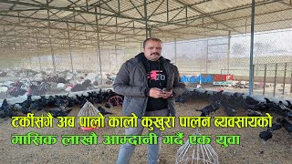 Turkey(टर्की) सँगै फस्टाउदै Black Chicken पालन ब्यवसाय, मासिक लाखौ आम्दानी गर्दै Kiran Prasad Kandel