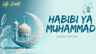 Habibi Ya Muhammad (Slowed   lofi) Mind Relaxing Naat ✨