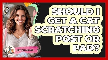 Should I Get A Cat Scratching Post Or Pad?