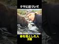 クマに近づいて命を落とした人3選　　　#動物 #怖い話