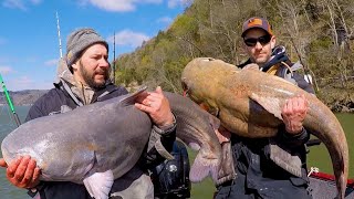 SPRING Is the time for GIANT Catfish!!