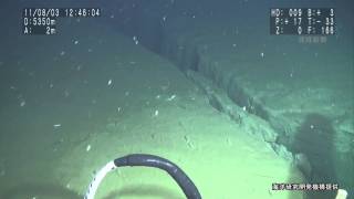 震源域の深海底に亀裂 有人潜水調査船「しんかい6500」 - YouTube