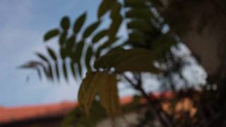 | Luna Musica || nihil || Album Teaser |