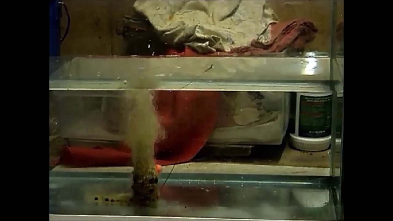 Bigbang TV : Stick mix effervescent maison ( carpe ) [ HD ]