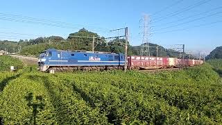 2023. 9.17 1073レ EF210-114(吹) & 920M普通電車