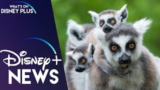 National Geographic Announces New Documentary Series “Queens” | Disney Plus News