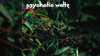 Psychotic Waltz - Cold