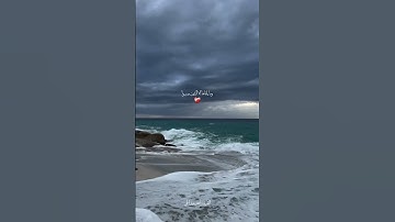 القارئ أحمد عبد الحي