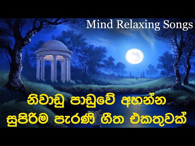 නිදහසේ අහන්න සුපිරිම පැරණි සිංහල සින්දු | Best Sinhala Old Songs Collection | SL Evoke Music class=