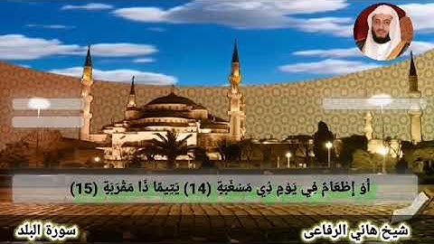 سورة البلد هاني الرفاعي