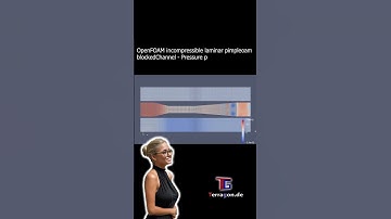 #OpenFOAM #CFD Tutorial case: #blockedChannel  - #pimpleFoam #laminar #pressure