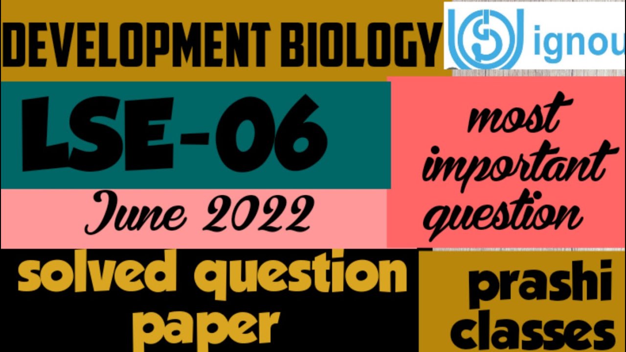 lse 06 solved assignment 2022