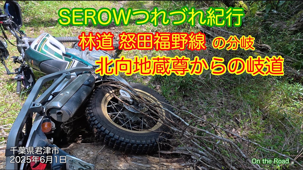 千葉県 林道怒田福野線北向地蔵尊からの支線 2年越しのその先へ 2025年6月1日君津市怒田 #serow #off road #japan