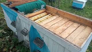 видео: Втрата матки і підсадка  матки. картинка: Втрата матки і підсадка  матки.