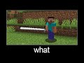 Minecraft wait what meme part 101 (long sword)