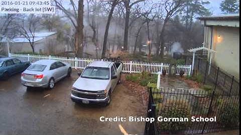 Lightning striking a tree caught on video