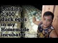 Loading 2,400pcs fresh duck eggs in my HOMEMADE INCUBATOR for balut making