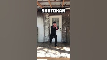 Different Karate Styles