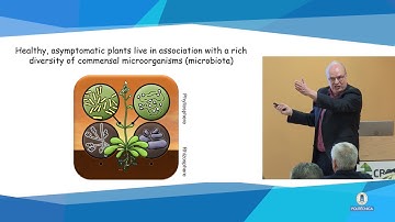 Making sense of diversity: functions of the plant microbiota in natural and agricultural ecosystems