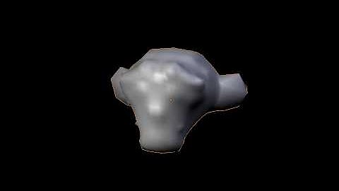 Durian Project: Cloth Shrink