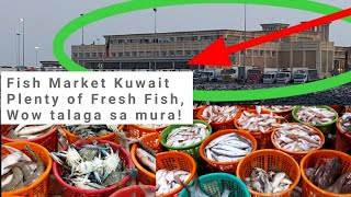 Part 2 Fish Port + Fish Market (Sharq) Kuwait l Ang daming Fish at Sobrang Mura Talaga!