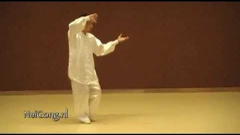 Baguazhang 8 Palm Form of Master Jiang Rong-Qiao